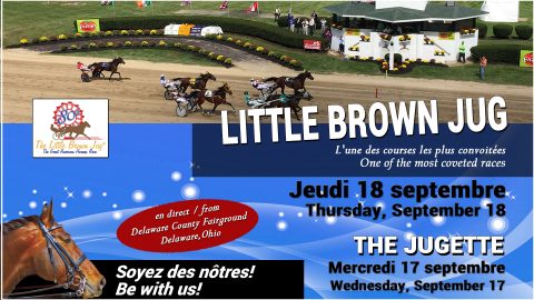 LITTLE BROWN JUG