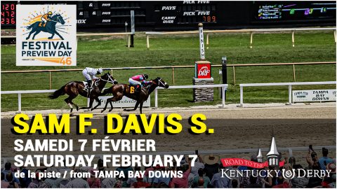 SAM F. DAVIS STAKES