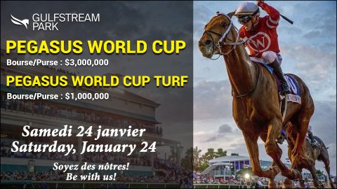 PEGASUS WORLD CUP