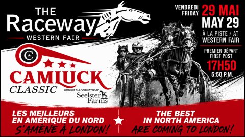 CAMLUCK CLASSIC